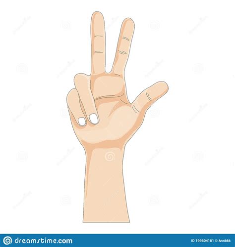 One Hands Showing Three Fingers On White Background Vector