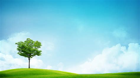 Grass And Sky Wallpapers Wallpaper Cave