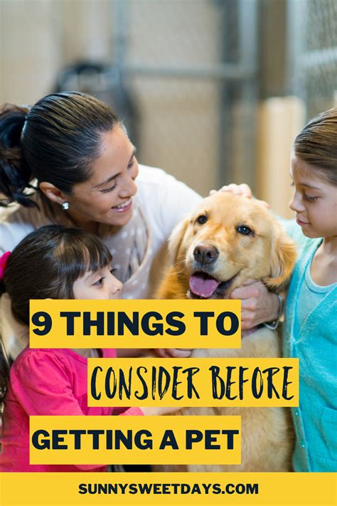 21 Things You Need To Know Before Adopting A Pet Sunny Sweet Days