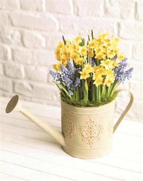 Beautiful New Spring Flowers And Plants Collection From Marks And Spencer