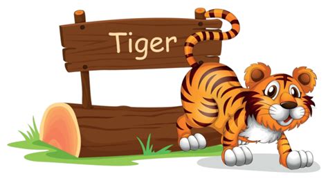 Tiger Wilderness Jump Clipart Vector Wilderness Jump Clipart Png And