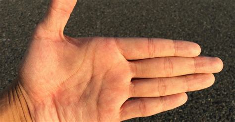 Person Showing His Left Human Palm · Free Stock Photo