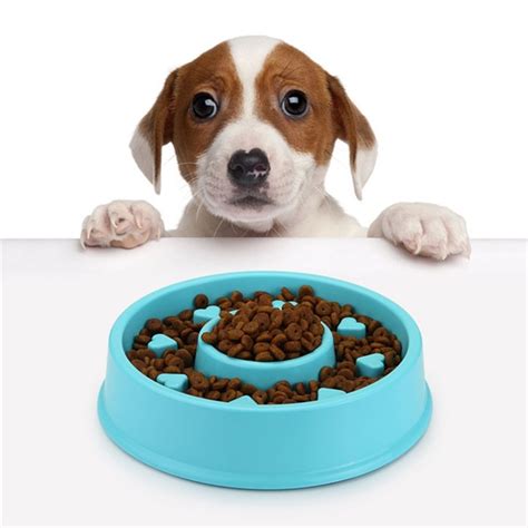 Today's indian dog food market is flooded with a wide array of dog food brands. FameBeaut Strange New Anti Choking Dog Bowl Jungle Bowl ...