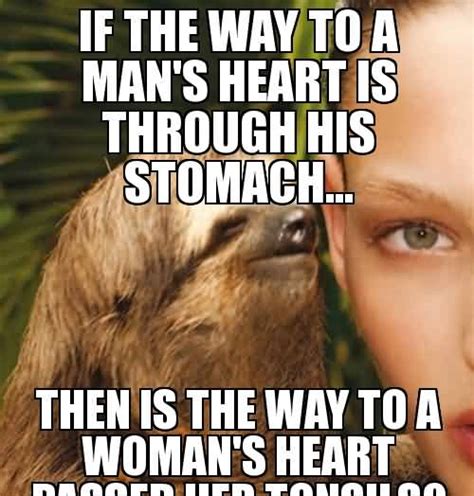43 Top Sloth Meme You Cant Stop Laughing After Seeing Picsmine
