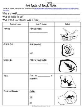 Five Types of Fossils Worksheet and Flip Book | Fossils lesson, Science