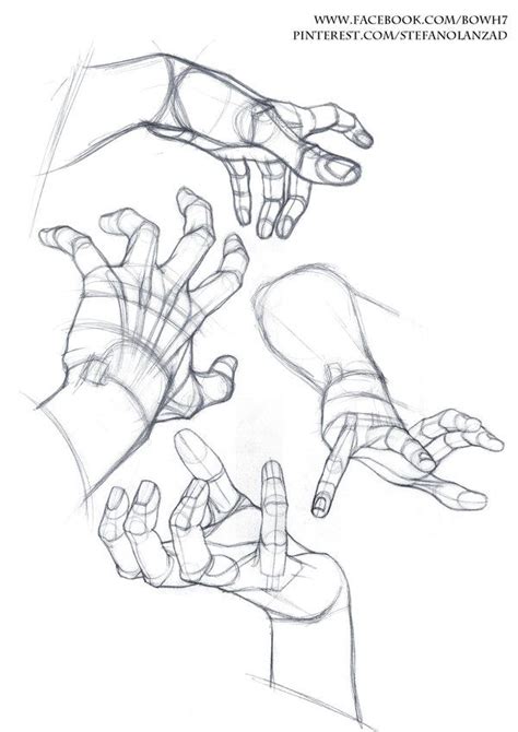 Hand Drawing Reference Art Reference Photos Anatomy Reference Pose