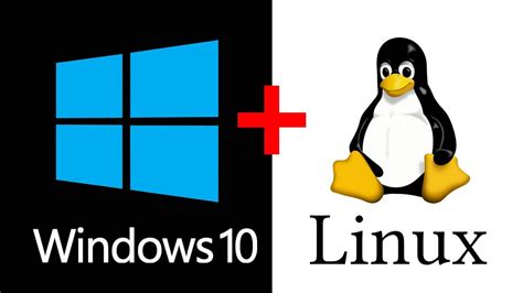 How To Dual Boot Windows 10 And Linux Beginners Guide Youtube