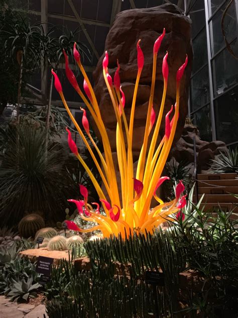 Chihuly Exhibit Comes To Franklin Park Conservatory And Botanical