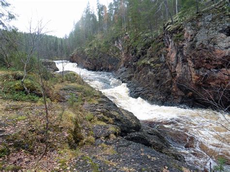 Kuusamo Oulanka Könkään Keino 8 Km Trail In Oulanka National Park