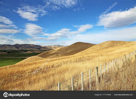 Grass Hills New Zealand — Stock Photo © Kojoty 171174348
