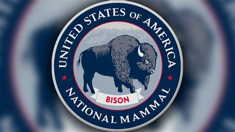 House Votes To Designate Bison As Americas National Mammal