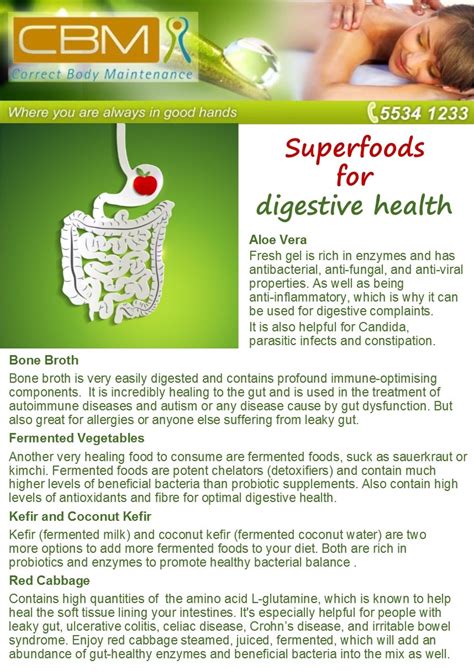 Superfoods For Digestive Health Correct Body Maintenance