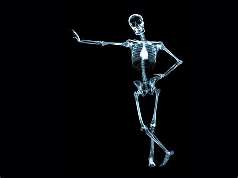 Esqueleto Xray Art Art Wallpaper X Ray