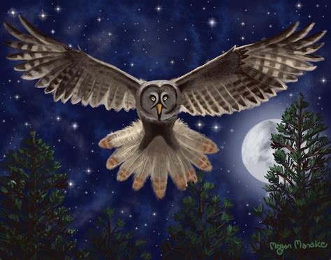 Flying Night Owl Art Print Etsy