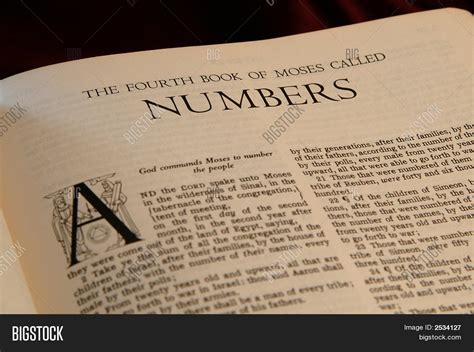Numbers Bible