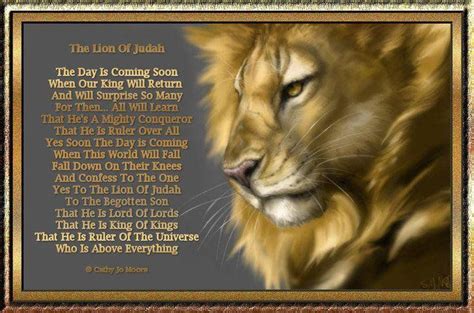 The Lion Of Judah Lion Of Judah Tribe Of Judah Judah And The Lion