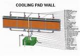 Evaporative Cooling Wall Greenhouse Pictures