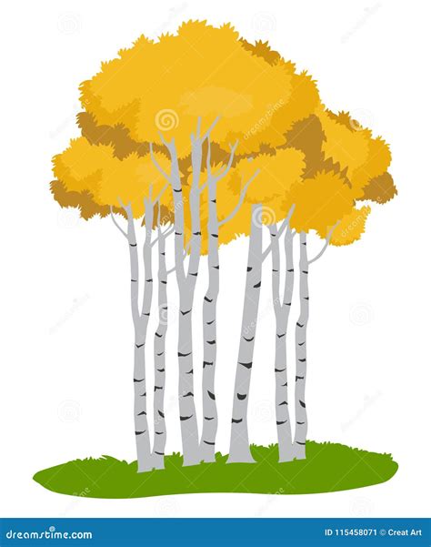 Aspen Treestree Illustration Autumn Tree Stock Vector Illustration