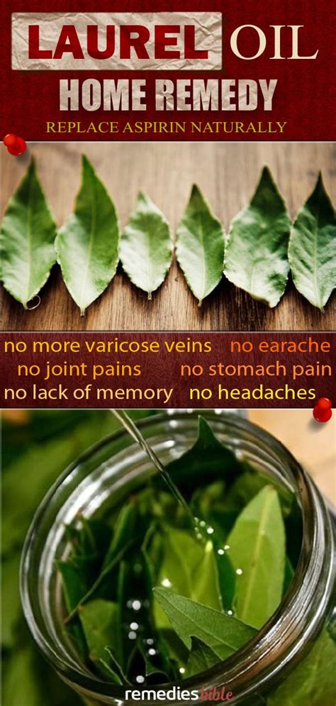 Most of us are aware of laurel as an extremely beneficial spice which