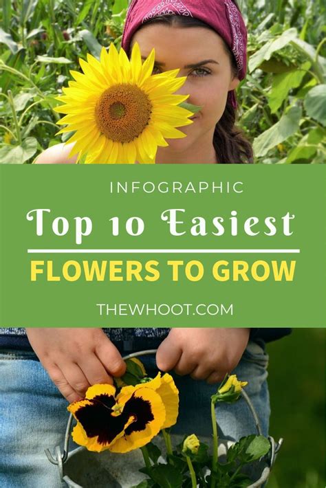 Top 10 Easiest Flowers To Grow Infographic The Whoot Easiest
