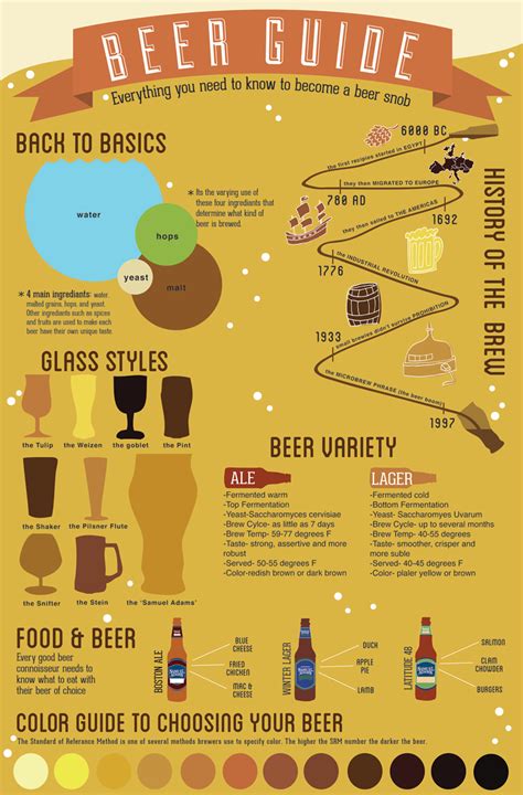 Beer Infographic Beer Infographic Beer Guide Beer