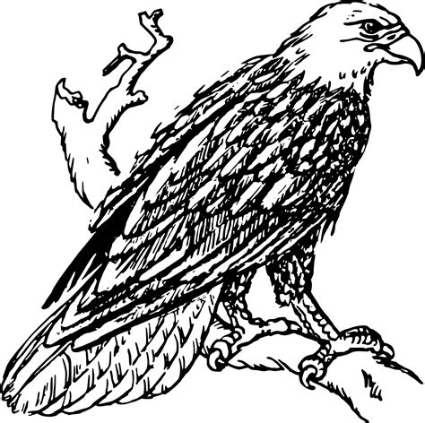 Bald Eagle Line Drawing At Getdrawings Free Download