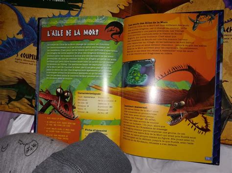 Le Livre Des Dragons Howtotrainyourdragonfr Amino