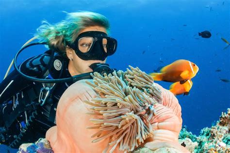 85 Best Underwater Photography Tips For Beginners