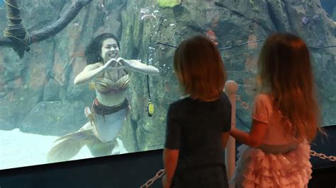 Mermaids Swimming To Adventure Aquarium For Weeklong Stay 6abc