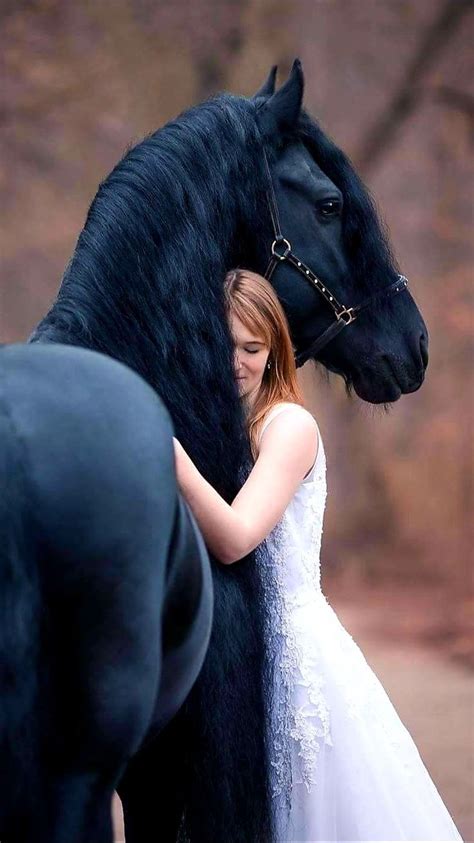 Equine Photography Poses Stunning Horse And Beautiful Model