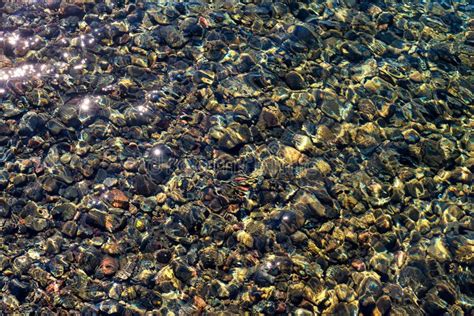 Underwater Mosaic Stock Photo Image Of Highlights Background 83449232
