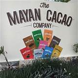 Photos of The Mayan Cacao Company