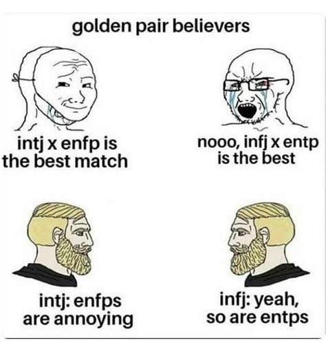 Lord Intj On Instagram Accurate I Prefer Infjs Intj Intp Infj