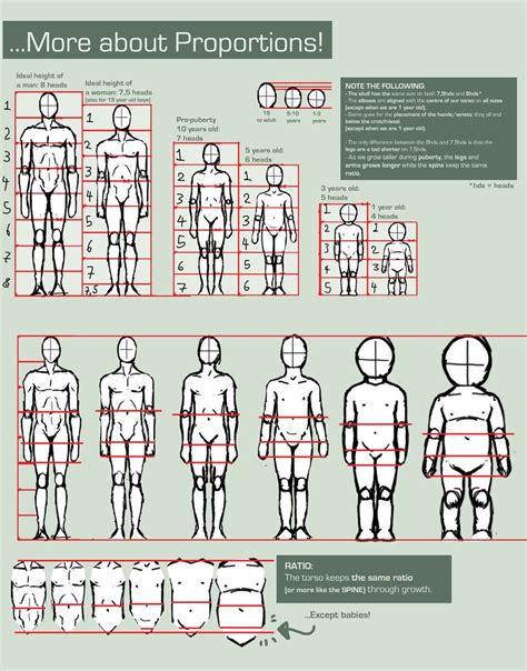 Proportions Guide By FOERVRAENGD Deviantart Com Figure Drawing