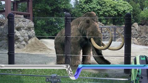 The Extinction And Resurrection Of The Woolly Mammoth Youtube