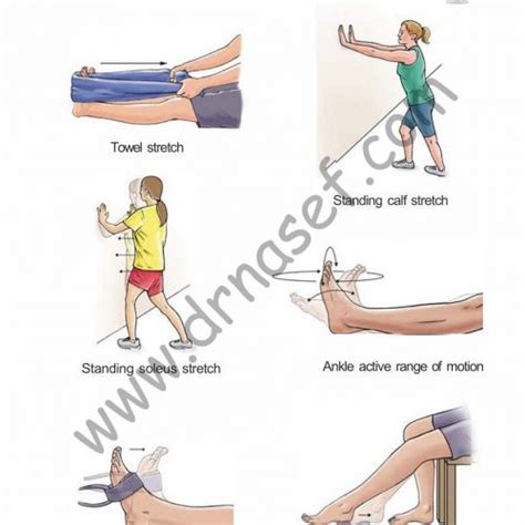 Foot And Ankle Rehabilitation And Exercises Drnasef