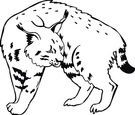 Juego para encontrar el elemento común entre distintas tarjetas con pictogramas relacionados con el colegio. Lince 1 | Dibujos para Colorear 24