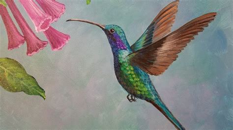 Hummingbird Acrylic Painting Tutorial Live Youtube
