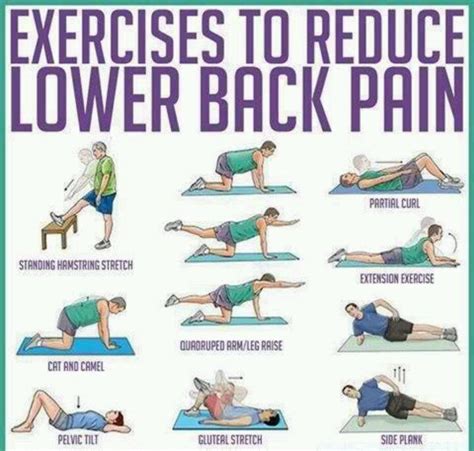 Lower Back Pain Relief Exercise Pinterest