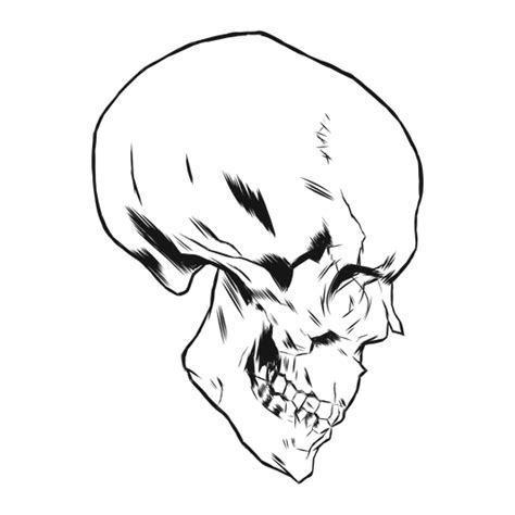 Skull Side View Hand Drawn Transparent Png And Svg Vector File