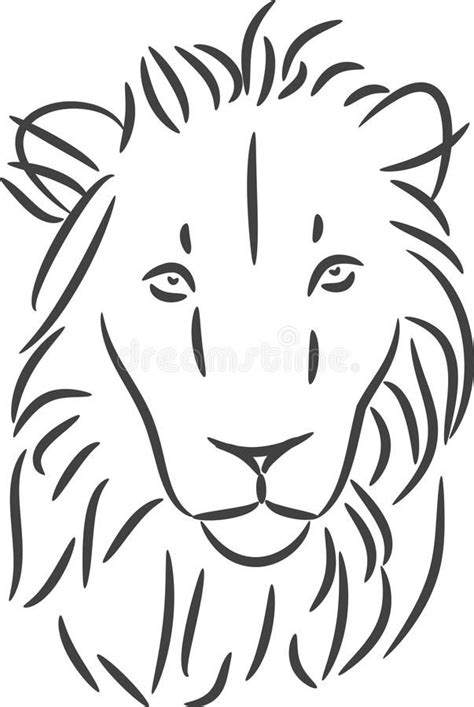 Asiatic Lion Line Art Stock Vector Illustration Of Asian 101269753