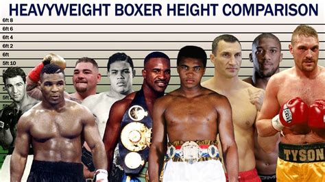 Heavyweight Boxers Height Comparison YouTube