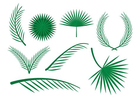 Free Palm Leaves Vector Ornaments Download Free Vector Art Stock