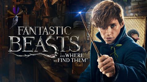 Download Newt Scamander Movie Fantastic Beasts And Where To Find Them