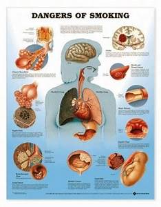Dangers Of Smoking Chart Medwest Medical Supplies