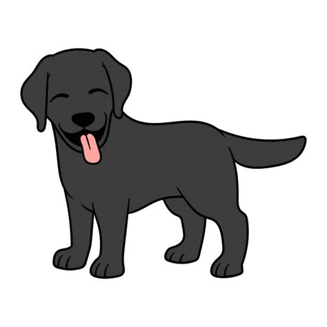 Black Lab Puppies Cartoon Illustrations Royalty Free Vector Graphics
