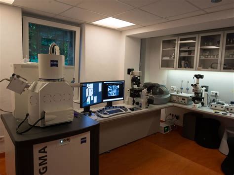 Eckhards Home Laboratory With Zeiss Sigma Scanning Electron