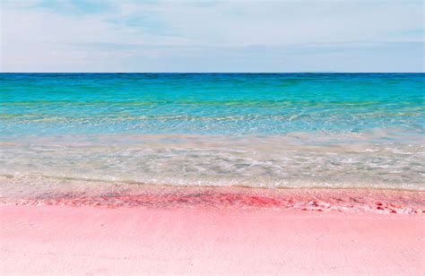 Imgur The Magic Of The Internet Bermuda Pink Sand Pink Sand Beach Beach Color Jamaica