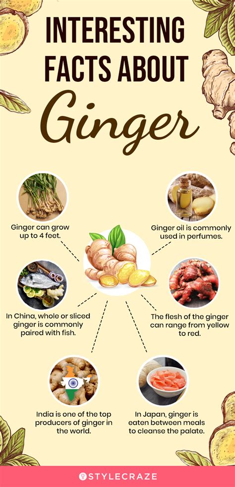 25 Benefits Of Ginger How To Take It Nutrition And Guidelines