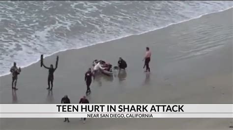 Teen Attacked By Shark At Southern California Beach Youtube